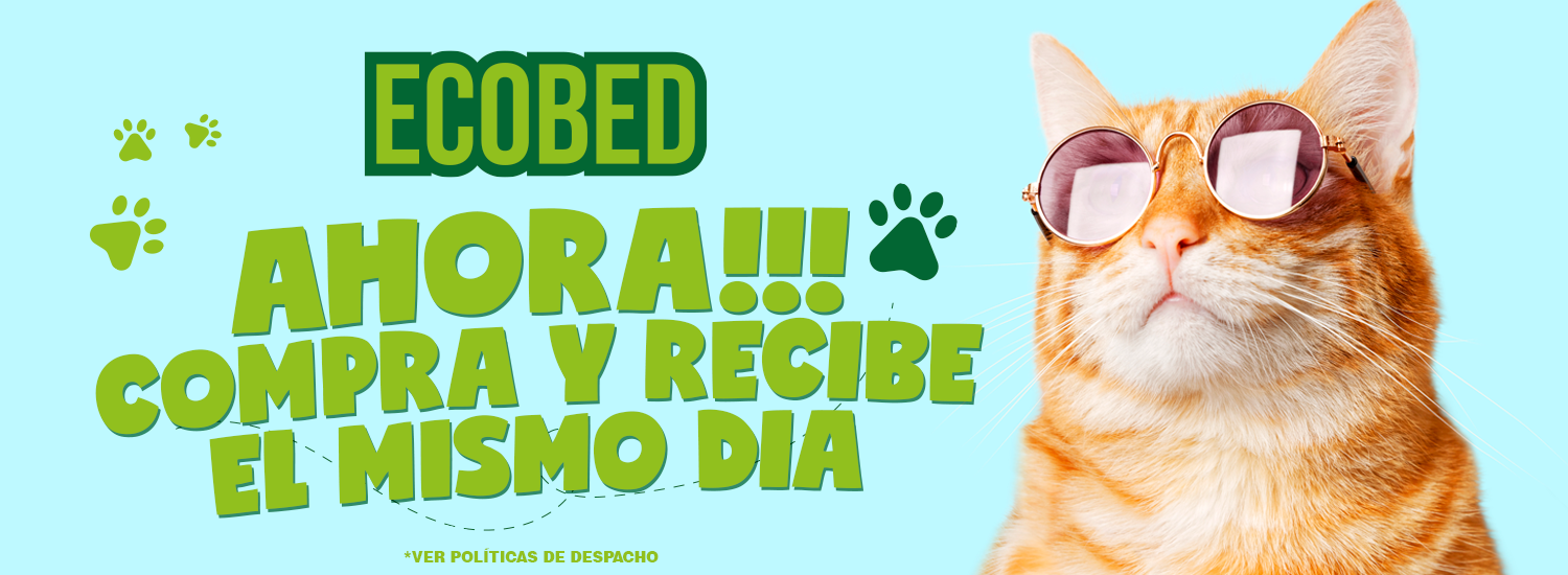 venta arena sanitaria gatos online