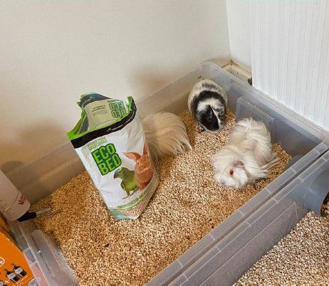 sustrato vegetal para cuyes