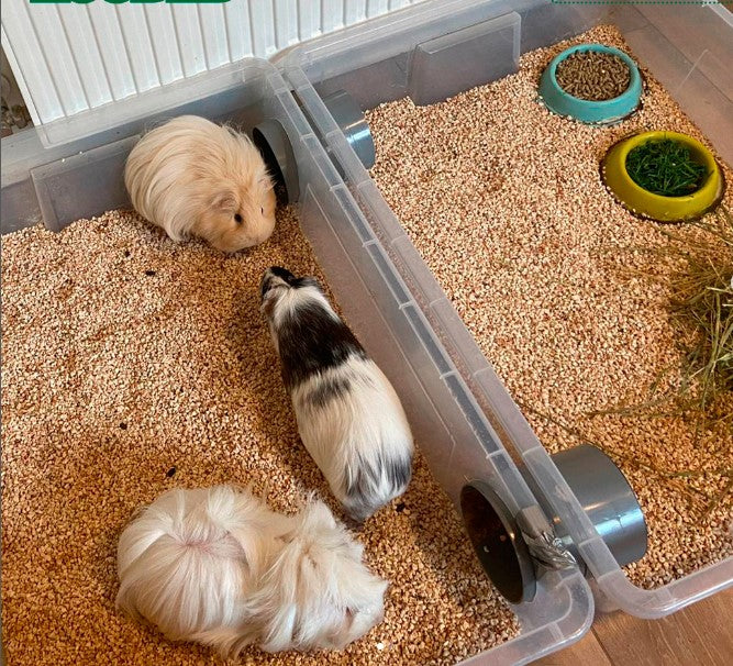 sustrato vegetal para cuyes y hamsters