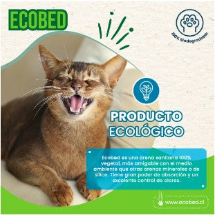 Arenas sanitarias para gatos ecologicas